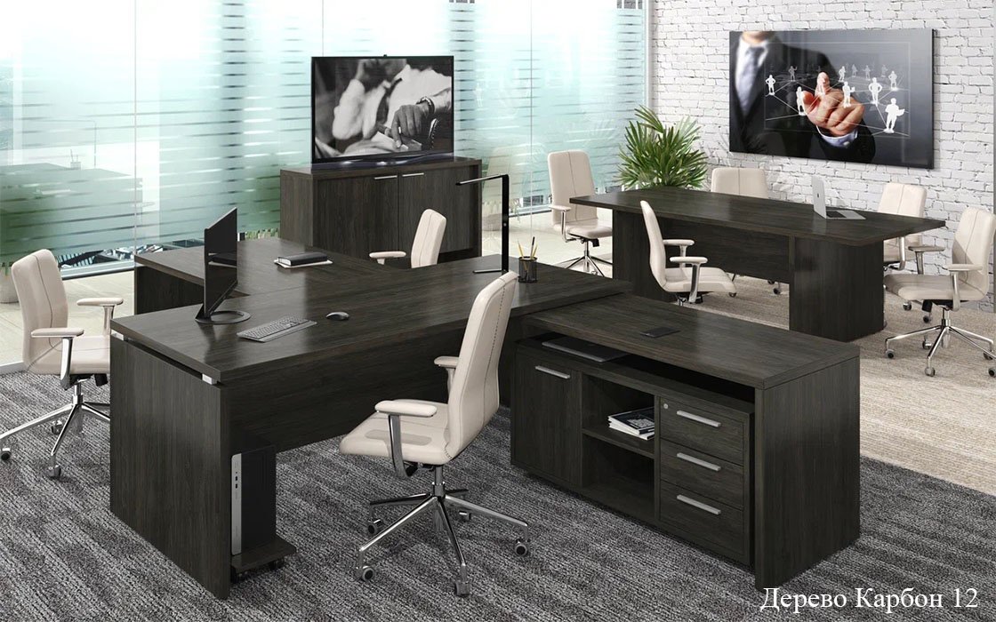 Кабинет руководителя &laquo;ДУБЛИН&raquo; - вид 4